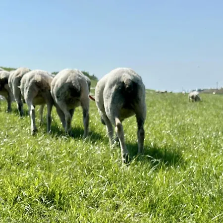 דירה Kueste33-22 Lotta *