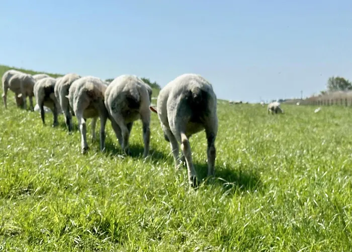 Apartman Kueste33-22 Lotta *